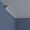 Ekena Millwork 1 3/4"H x 1 3/4"P x 2 1/2"F x 94 1/2"L Edinburgh Traditional Smooth Crown Moulding MLD01X01X02ED - alternate 5